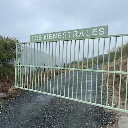 Menestrales * Lora del Río