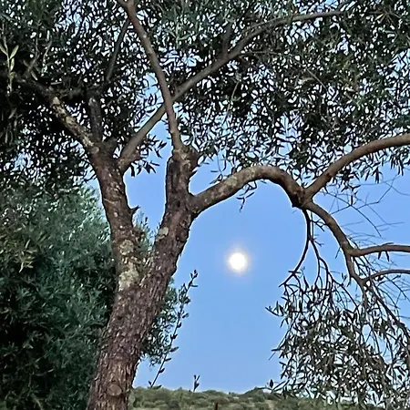 Casa rural Menestrales