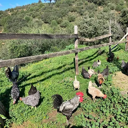 Menestrales * Lora del Río